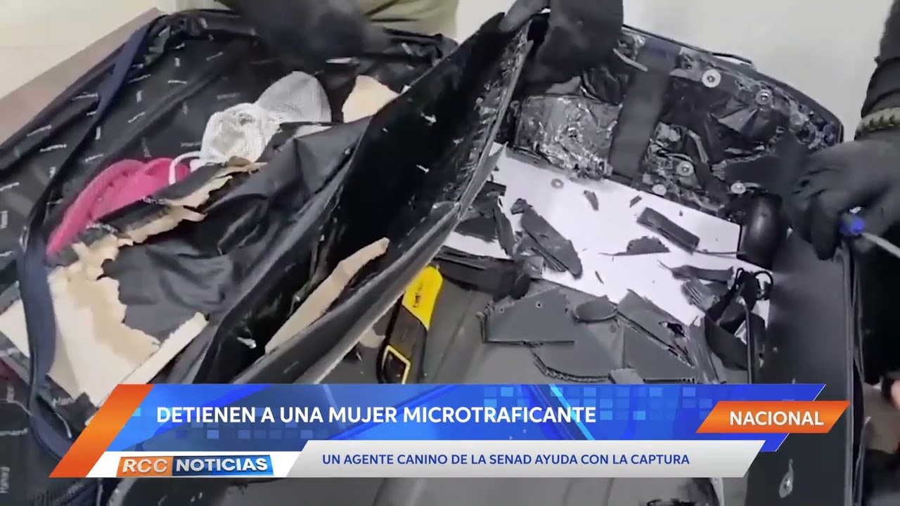 Agente canino de la Senad ayudó en la captura de una microtraficante