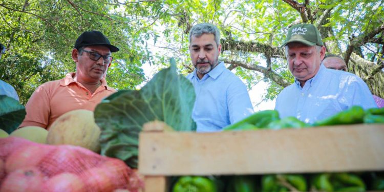 Resaltaron buena producción en cierre de zafra en Paraguarí Resaltaron buena producción en cierre de zafra en Paraguarí