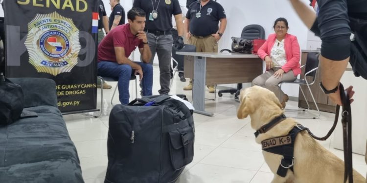 El canino de la SENAD detectó droga que pretendía llegar a Filipinas El canino de la SENAD detectó droga que pretendía llegar a Filipinas