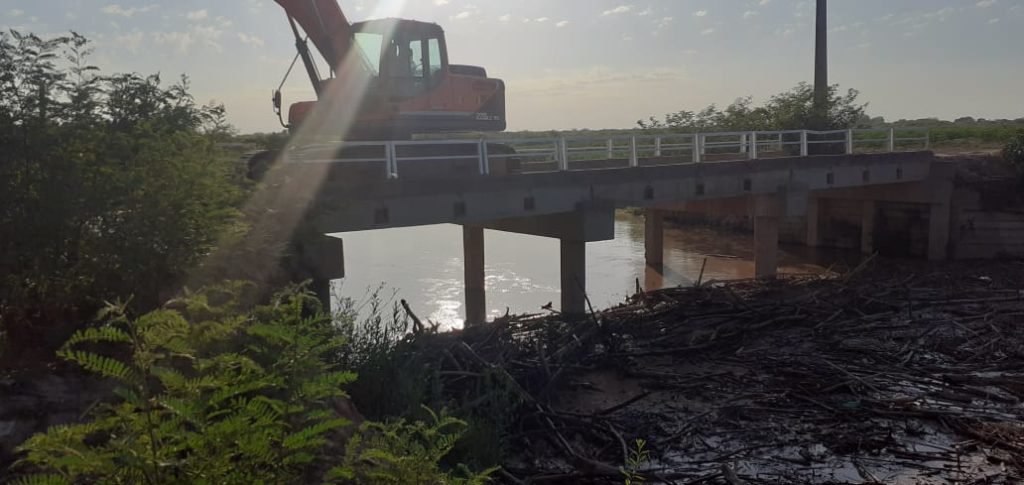 Realizaron limpieza vegetal en zona de Gral. Díaz Realizaron limpieza vegetal en zona de Gral. Díaz