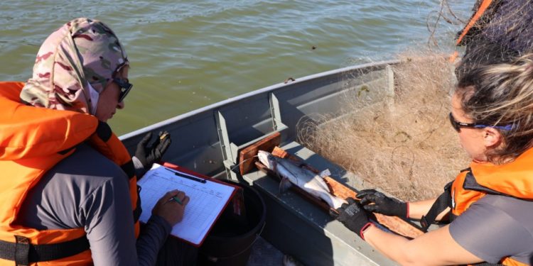 Exploraciones ictiológicas fueron impulsadas por Itaipú en el 2022