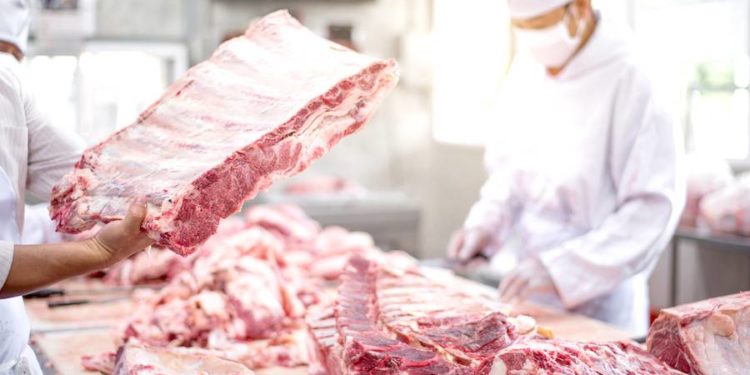 Paraguay exportó más de 300.000 toneladas de carne bovina este 2022 Paraguay exportó más de 300.000 toneladas de carne bovina este 2022