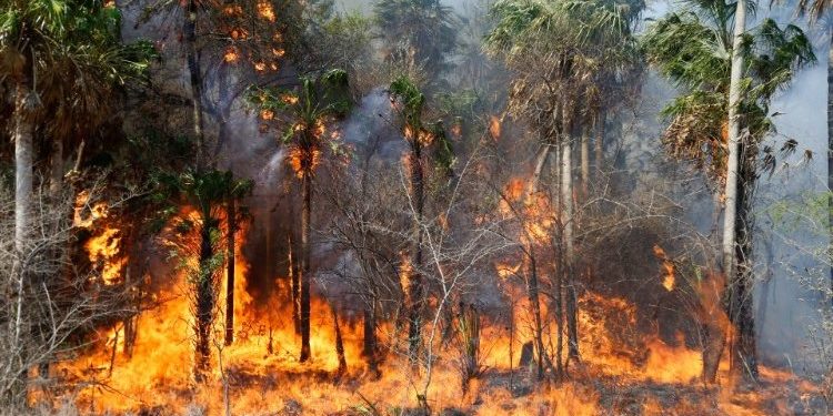 Bomberos Voluntarios de Campo Aceval concientizan a la ciudadanía sobre la quema de basura