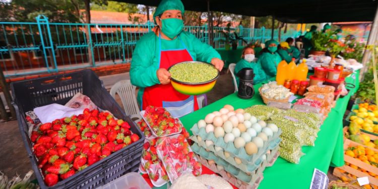 MAG organiza Feria de la Agricultura Familiar en dos municipios