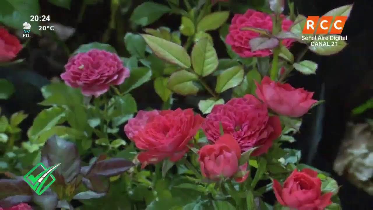 FECOPROD – DE MI CHACRA A TU CASA.