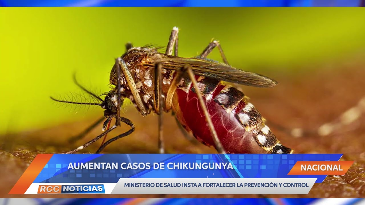 Alerta ante amenaza y dispersión nacional de chikungunya