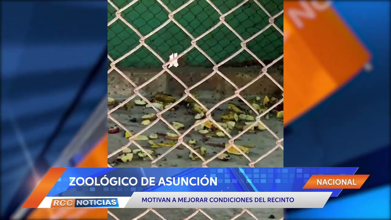 Incentivo ciudadano: Motivan a mejorar condiciones del Zoológico de Asunción