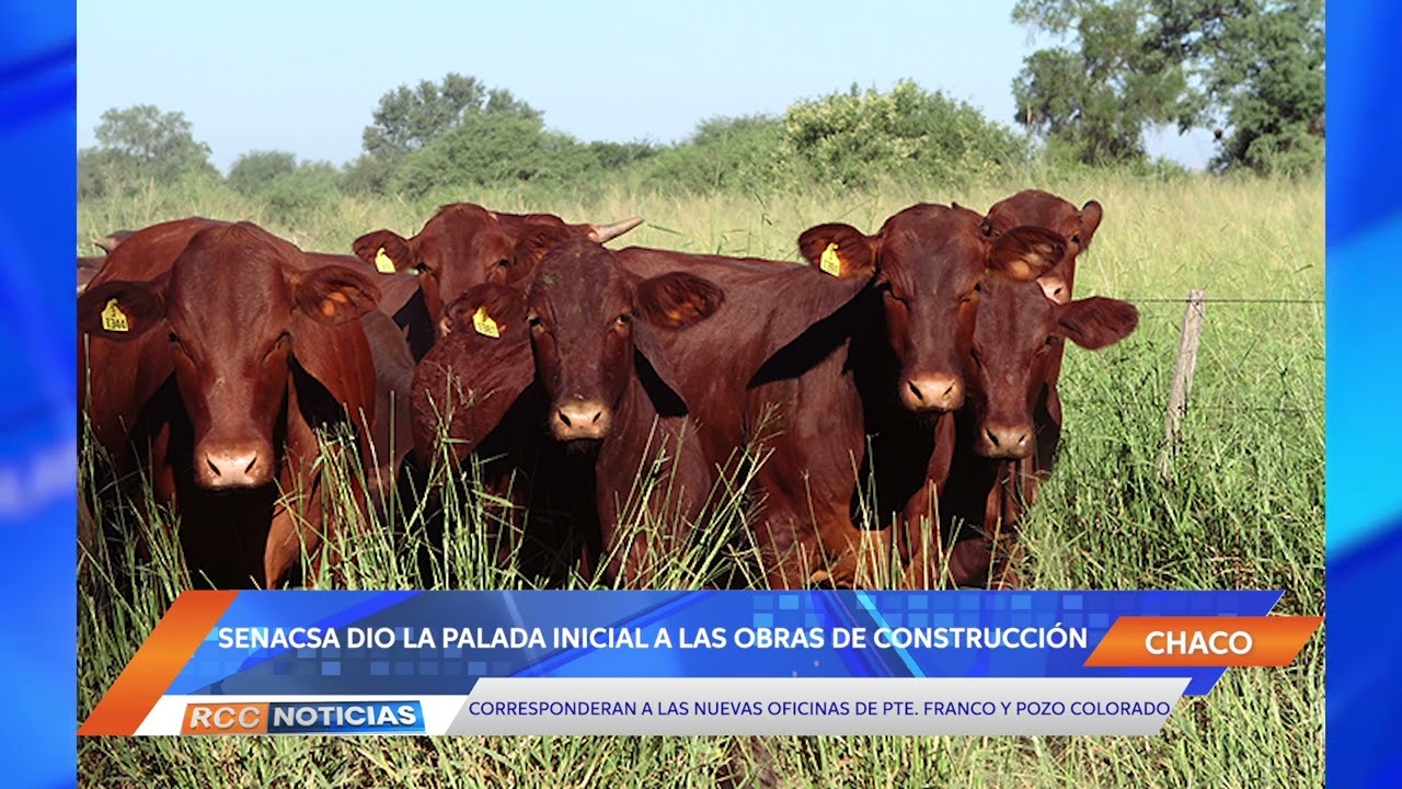 SENACSA dio palada inicial a las obras de las nuevas oficinas en Pdte. Hayes y Pozo Colorado