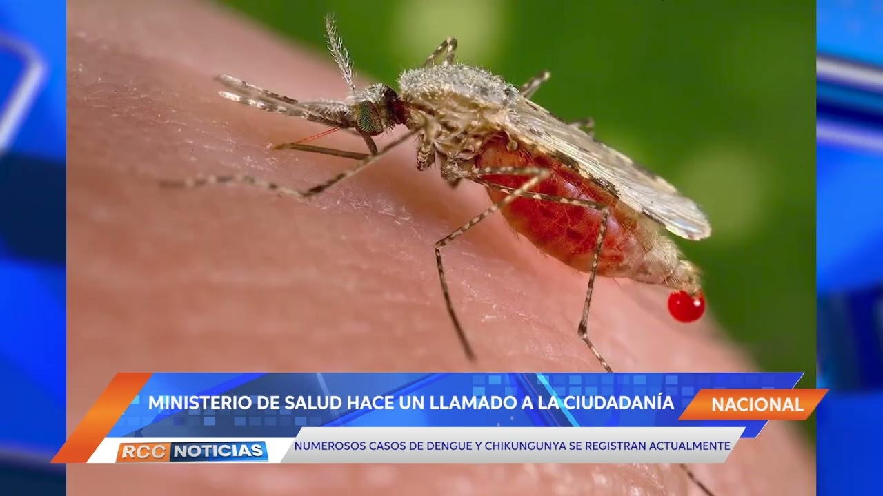 Los síntomas de la Chikungunya podrían extenderse por varios meses