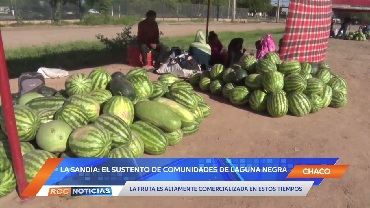 La Sandía: el sustento de muchas comunidades indígenas de Laguna Negra