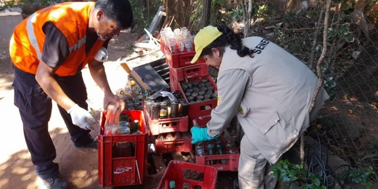 Senepa realizó intervenciones para frenar casos de Chikungunya en Central