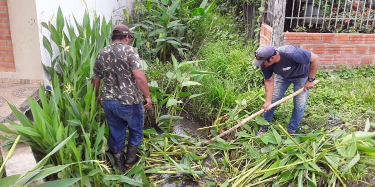 Municipalidad de Fuerte Olimpo advierte a propietarios sobre la aplicación de multas por baldíos insalubres Municipalidad de Fuerte Olimpo advierte a propietarios sobre la aplicación de multas por baldíos insalubres