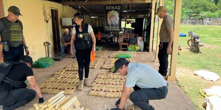 Predio rural de Concepción ocultaba más de 200 kilos de marihuana