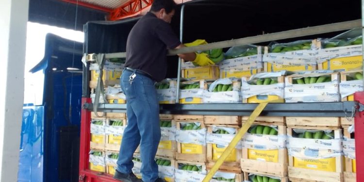 SENAVE inspecciona productos a exportarse en su puesto de control de Chaco´i