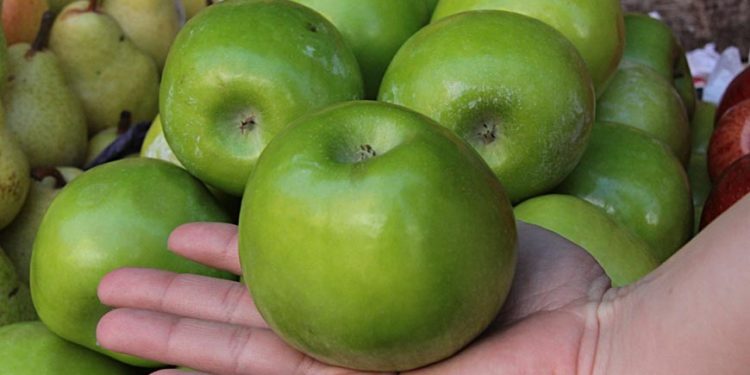 Dieta detox, ¿puede considerarse como opción? Dieta detox, ¿puede considerarse como opción?