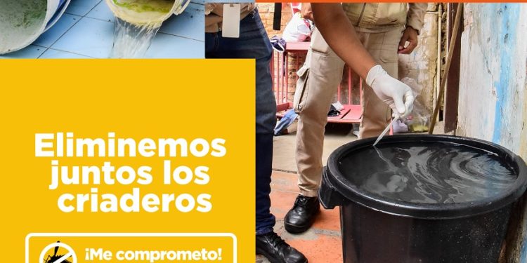 Elimina criaderos después de cada lluvia