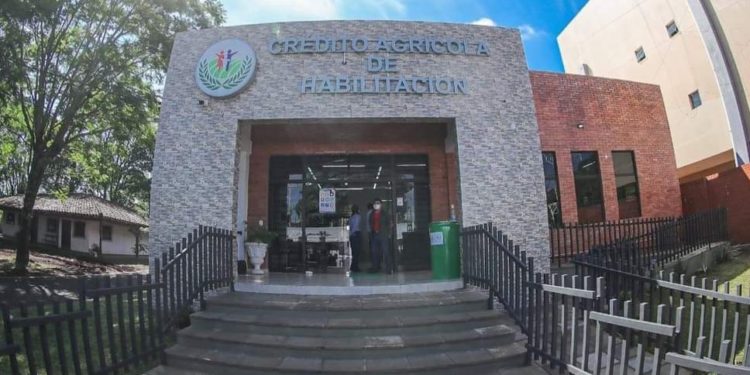 Crédito Agrícola de Habilitación contará con nuevas sedes en Alto Paraná Crédito Agrícola de Habilitación contará con nuevas sedes en Alto Paraná