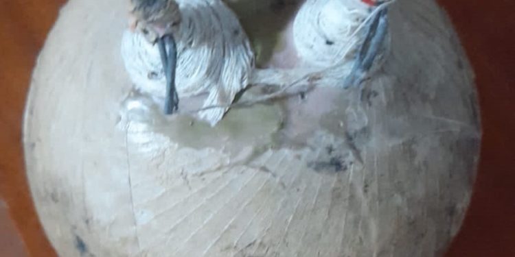 Niños hallan artefacto explosivo en barrio de Itapúa