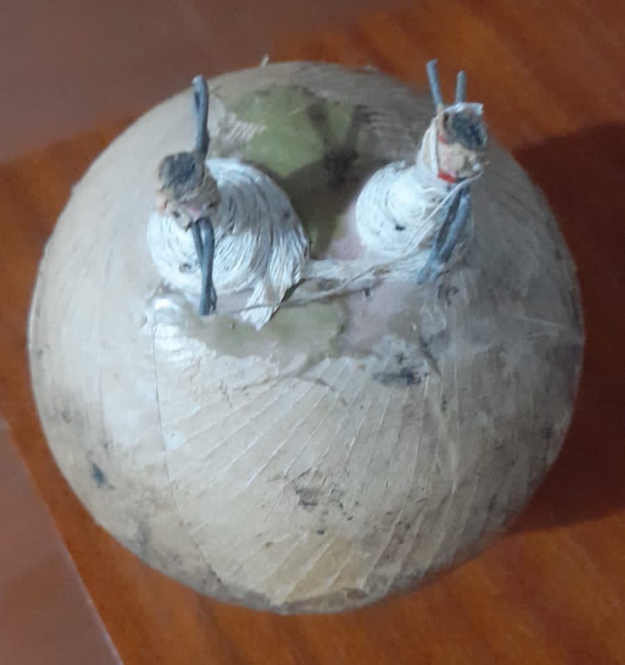 Niños hallan artefacto explosivo en barrio de Itapúa