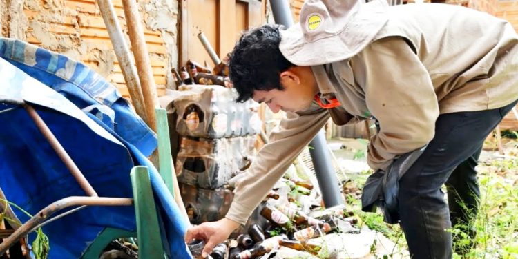 Instan a eliminar criaderos para evitar propagación del Chikungunya