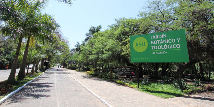 Incentivo ciudadano: Motivan a mejorar condiciones del Zoológico de Asunción Incentivo ciudadano: Motivan a mejorar condiciones del Zoológico de Asunción