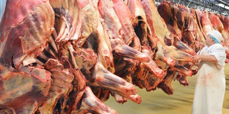 Exportaciones de productos de origen animal alcanzaron importantes cifras en el 2022
