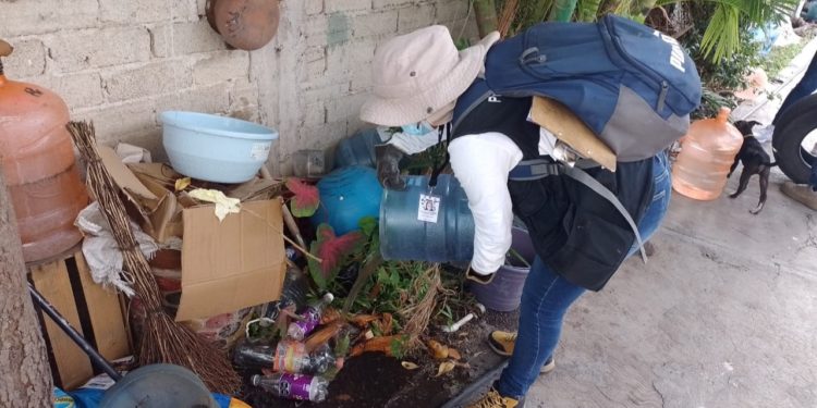 Detallan diferencias de síntomas entre chikungunya y dengue