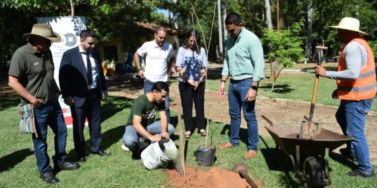 Intentan revitalizar espacios verdes con la plantación de árboles en el Parque Caballero Intentan revitalizar espacios verdes con la plantación de árboles en el Parque Caballero