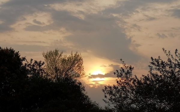 Anuncian un martes cálido a caluroso con chaparrones Anuncian un martes cálido a caluroso con chaparrones