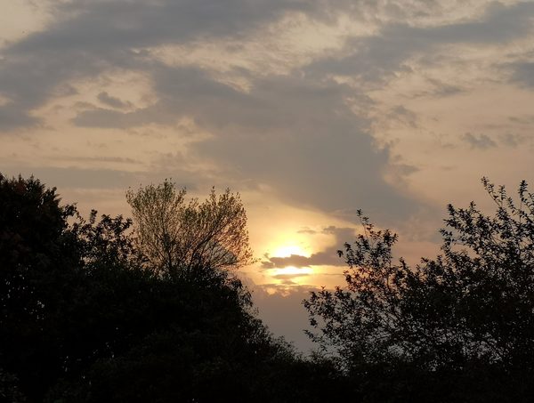 Anuncian un martes cálido a caluroso con chaparrones