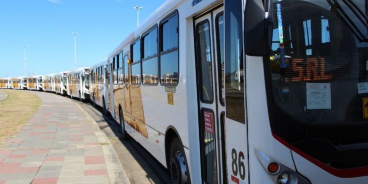 Habilitan licitación para la prestación del servicio de transporte público en el Área Metropolitana