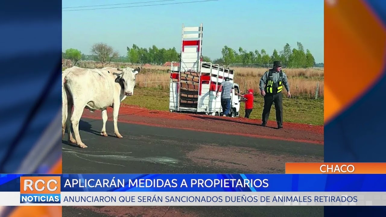 Municipalidad de Fuerte Olimpo ejercerá medidas legales contra propietarios que retiraron animales