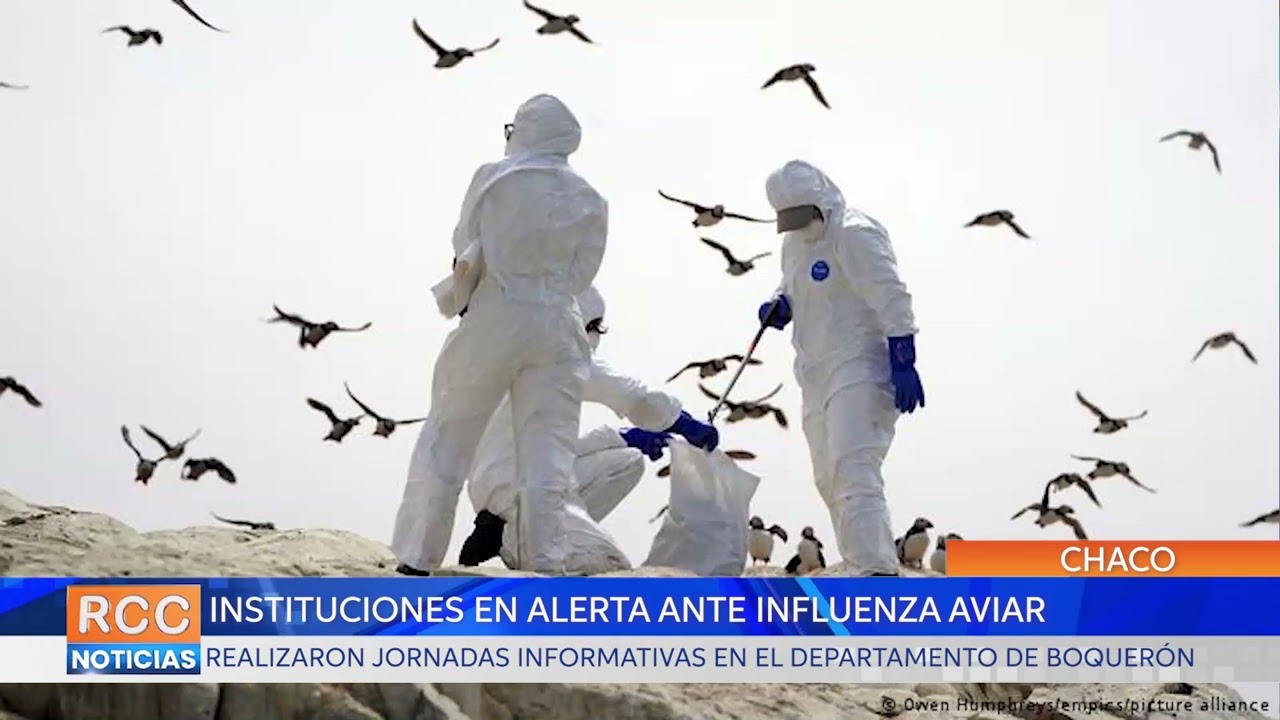 Analizaron situación epidemiológica de la Influenza Aviar en el departamento de Boquerón