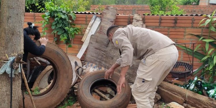 Senepa informó que más del 90 % de las casas visitadas poseen criaderos