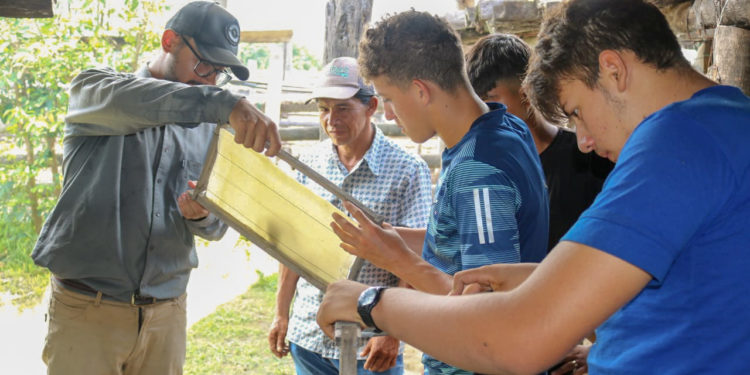 Aplican capacitaciones e intercambio entre apicultores del pantanal chaqueño