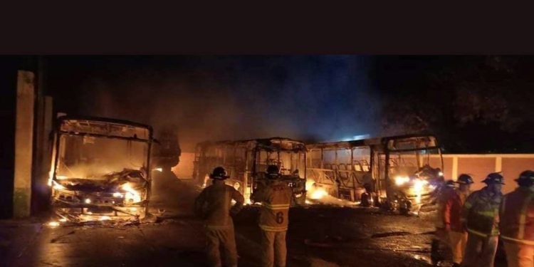 Buses chaqueños quedaron calcinados luego de un voraz incendio Buses chaqueños quedaron calcinados luego de un voraz incendio