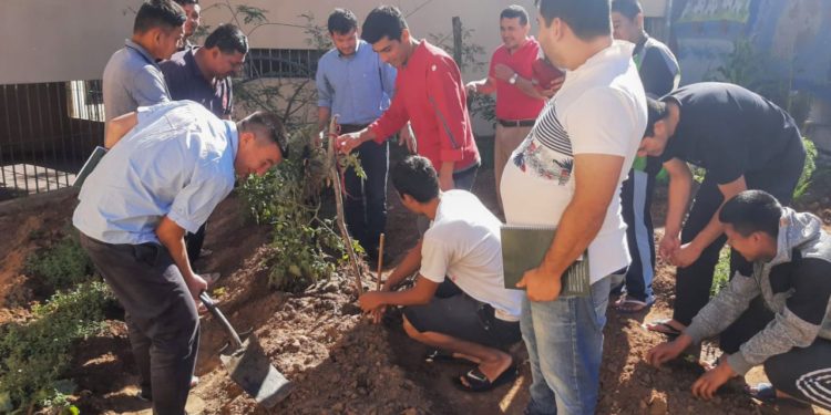 Internos cultivan sus propias hortalizas orgánicas en el penal de Emboscada