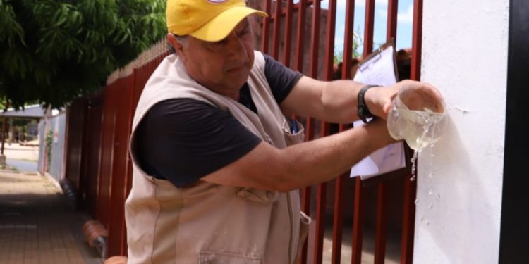 Más del 90 % de las casas visitadas por Senepa posee criaderos de mosquito