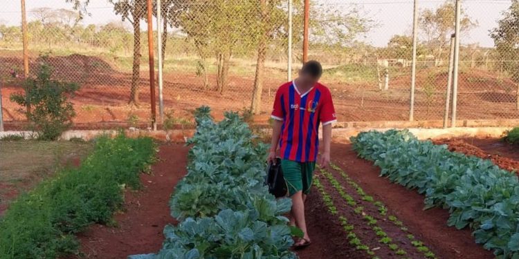Importante descenso de la población de adolescentes que ingresaron en los centros educativos del país