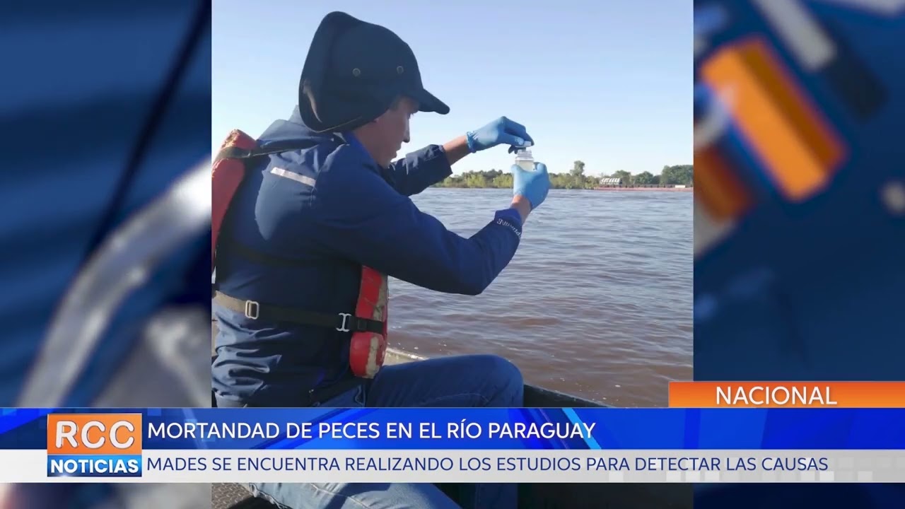 MADES alerta sobre mortandad de peces en el Río Paraguay