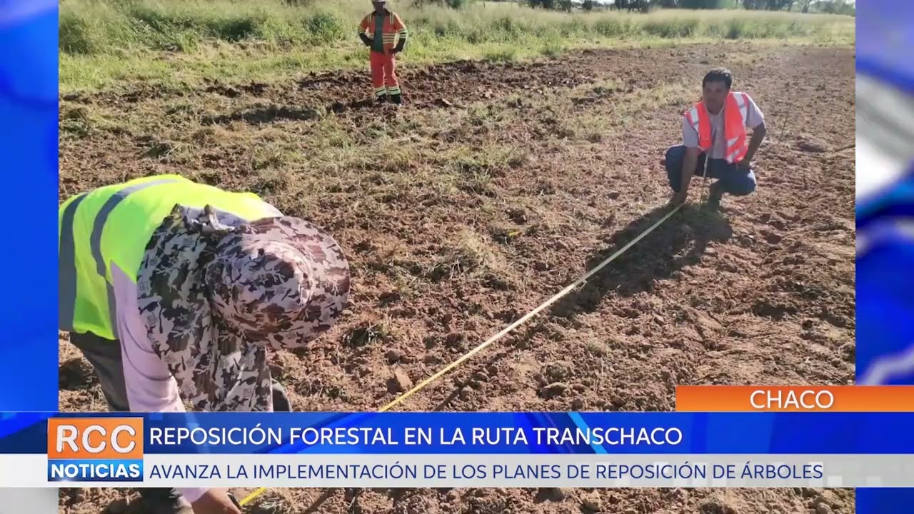 Ruta PY09 – Transchaco: avanza reposición forestal en el Lote 7