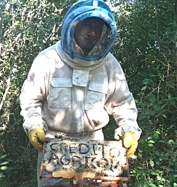 Apicultor logra posicionarse en el rubro y fortalece su producción de miel con apoyo del CAH Apicultor logra posicionarse en el rubro y fortalece su producción de miel con apoyo del CAH