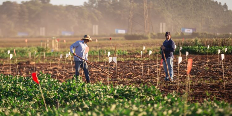 A sólo una semana de la Feria Innovar 2023, la mayor muestra de los agronegocios A sólo una semana de la Feria Innovar 2023, la mayor muestra de los agronegocios