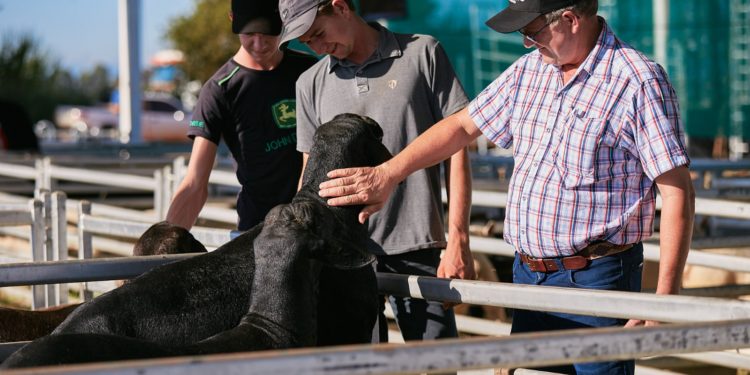 Primera jornada de actividades en la Feria Innovar 2023 con gran dinamismo Primera jornada de actividades en la Feria Innovar 2023 con gran dinamismo