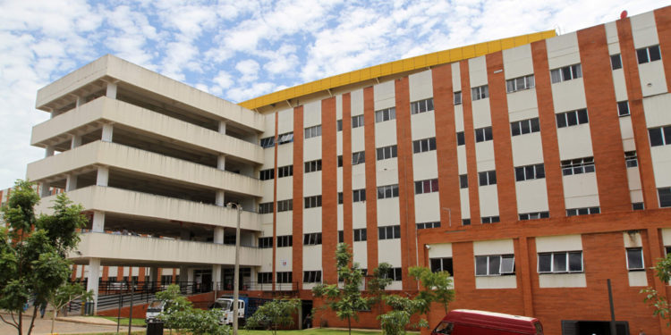 Alarmante aumento de pacientes con complicaciones neurológicas por Chikungunya Alarmante aumento de pacientes con complicaciones neurológicas por Chikungunya