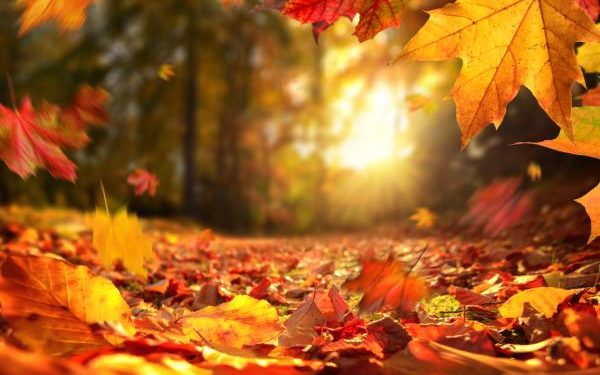 Arrancó el otoño con una jornada veraniega Arrancó el otoño con una jornada veraniega