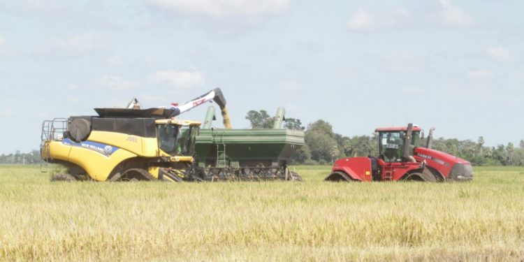 Presidente visita zona de inversión y crecimiento de la producción arrocera