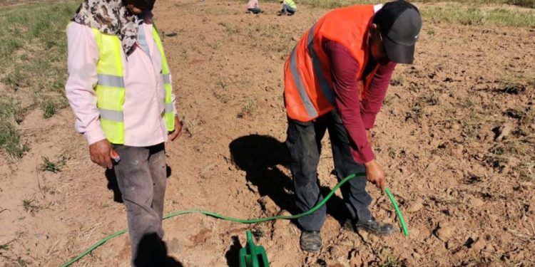 Ruta PY09 – Transchaco: avanza reposición forestal en el Lote 7