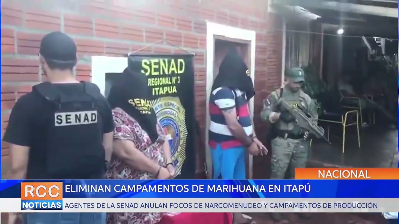Eliminan campamentos de producción de marihuana en Itapúa