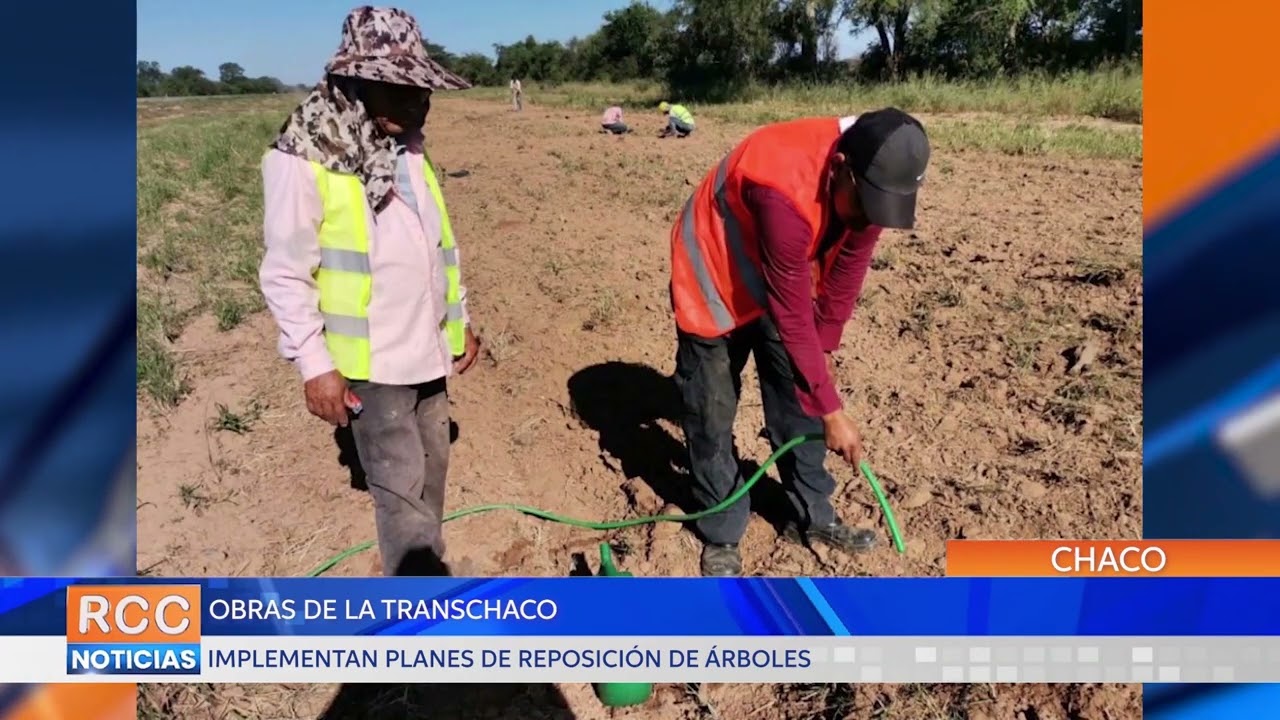 Concretan plantación de 10.000 árboles nativos en el Lote 7 de la Transchaco